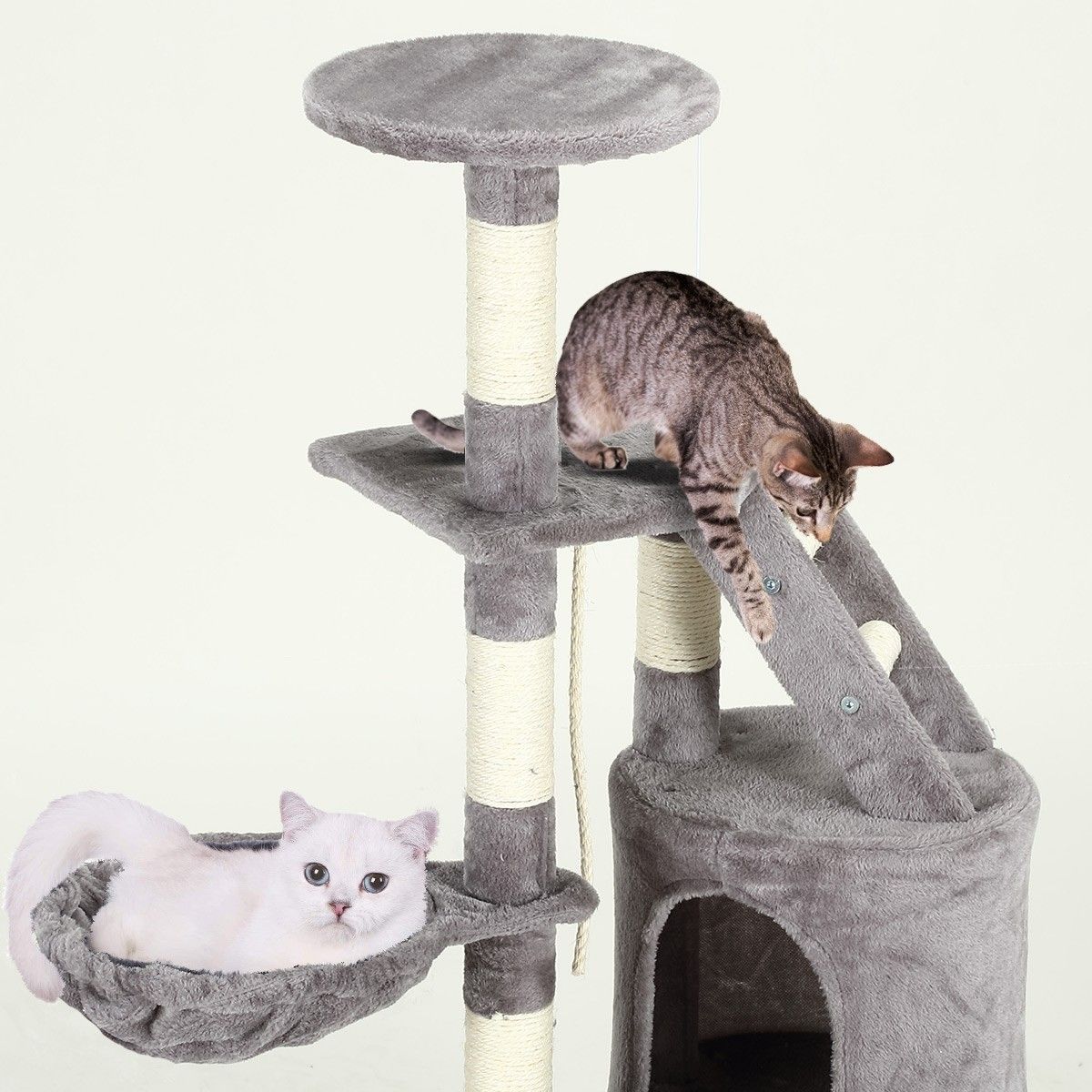 https://img.bestdeals.co.nz/products_pictures/324/32489_274810_F.jpg