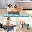 Elevated Dog Bowls Adjustable Raised Dog Bowl with 2 Stainless Steel 1.5L Dog Food Bowls