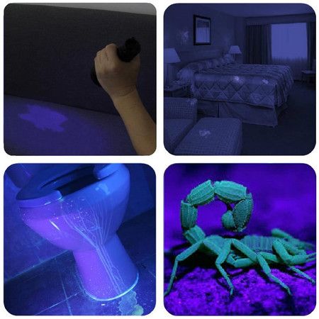 https://img.bestdeals.co.nz/products_pictures/327/32779_277477_F.jpg
