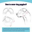 Dog Goggles Large Breed Dog UV Sunglasses Windproof Snowproof Dog Glasses for Long Snout Dogs, Soft Frame, Flexible Adjustable Straps