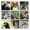 Dog Sunglasses Dog Goggles, UV Protection Wind Protection Dust Protection Fog Protection Pet Glasses Eye Wear Protection with Adjustable Strap for Medium or Large Dog