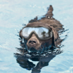 Dog Sunglasses Dog Goggles, UV Protection Wind Protection Dust Protection Fog Protection Pet Glasses Eye Wear Protection with Adjustable Strap for Medium or Large Dog