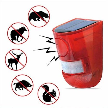 https://img.bestdeals.co.nz/products_pictures/330/33062_279493_F.jpg