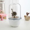 Succulent Pots with LED Grow Light,Smart Succulent Planters with Timer and Ventilation System,Small Indoor Plant Pots with Drainage Hole