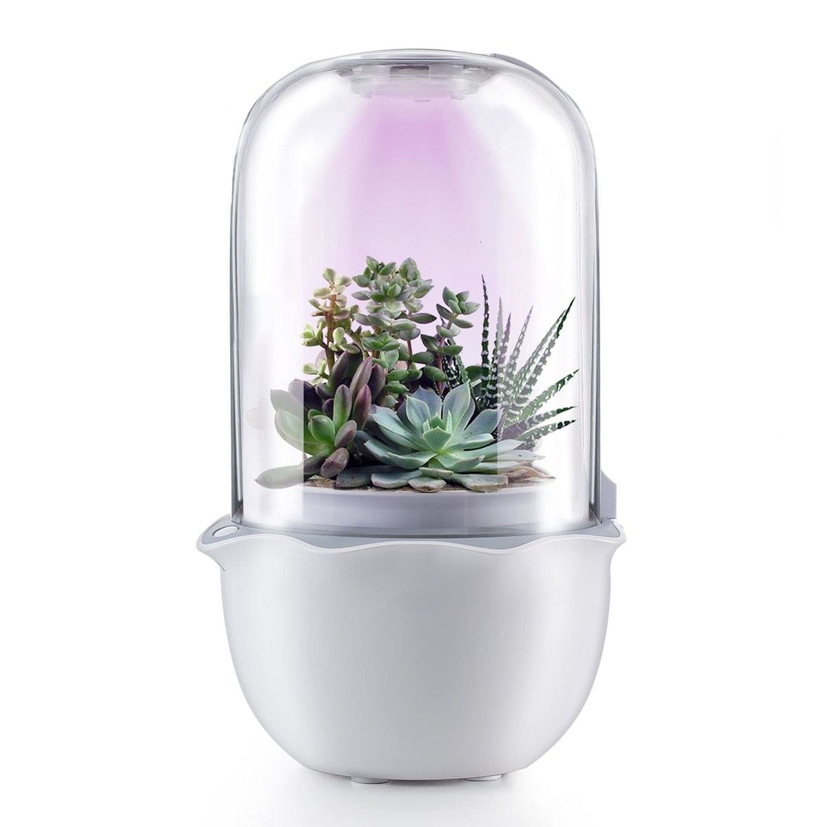 https://img.bestdeals.co.nz/products_pictures/330/33065_279529_F.jpg