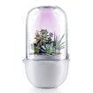 Succulent Pots with LED Grow Light,Smart Succulent Planters with Timer and Ventilation System,Small Indoor Plant Pots with Drainage Hole