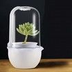 Succulent Pots with LED Grow Light,Smart Succulent Planters with Timer and Ventilation System,Small Indoor Plant Pots with Drainage Hole