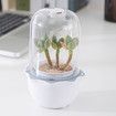 Succulent Pots with LED Grow Light,Smart Succulent Planters with Timer and Ventilation System,Small Indoor Plant Pots with Drainage Hole