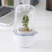 Succulent Pots with LED Grow Light,Smart Succulent Planters with Timer and Ventilation System,Small Indoor Plant Pots with Drainage Hole