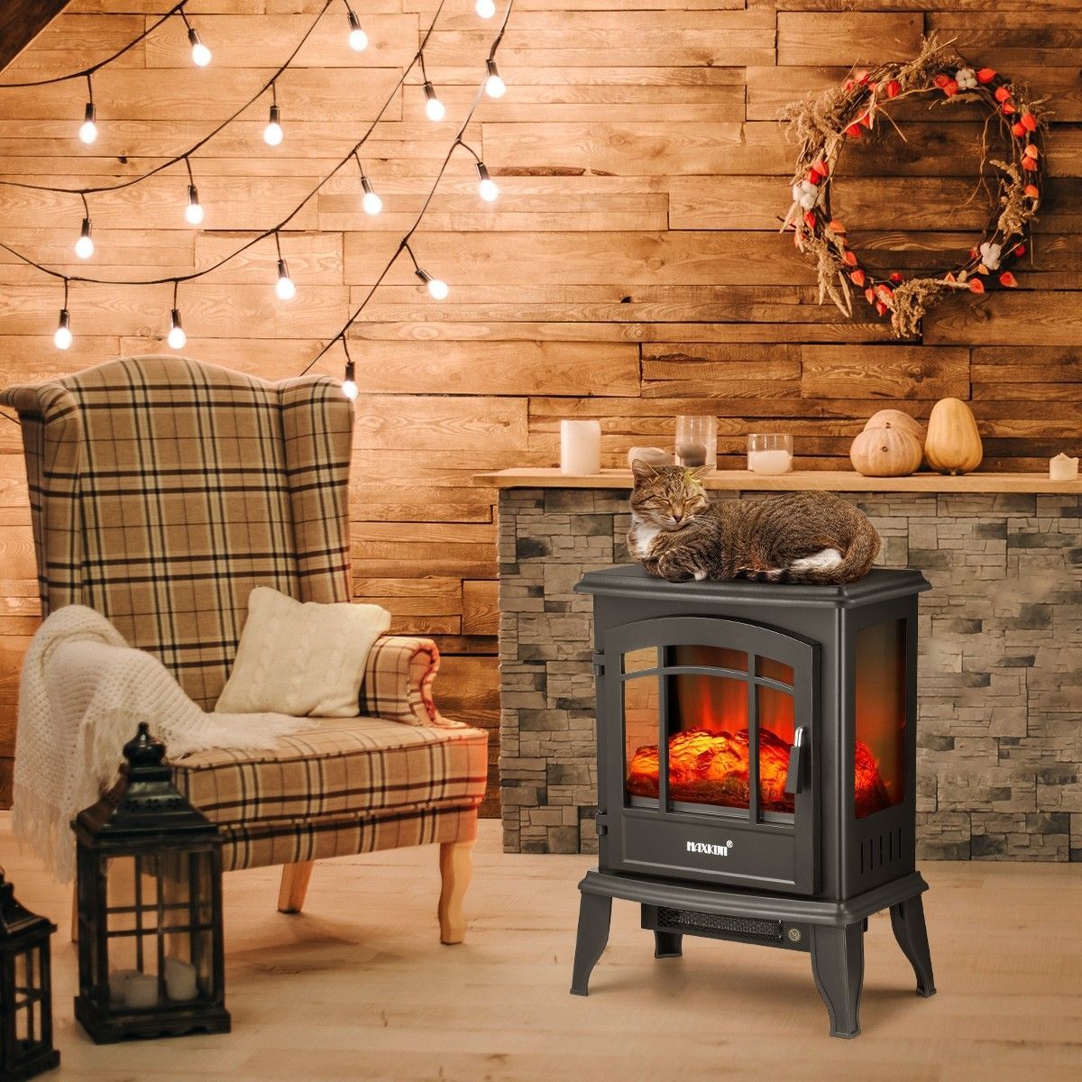https://img.bestdeals.co.nz/products_pictures/330/33077_279605_F.jpg