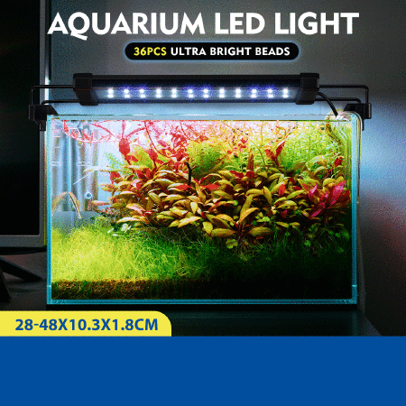 Aquarium Light Fish Tank Led Lighting Lamp White Blue for 30-50cm Fish Tank