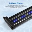 Aquarium Light Fish Tank Led Lighting Lamp White Blue for 50-70cm Fish Tank