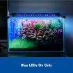 Aquarium Light Fish Tank Led Lighting Lamp White Blue for 50-70cm Fish Tank