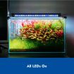 Aquarium Light Fish Tank Led Lighting Lamp White Blue for 50-70cm Fish Tank