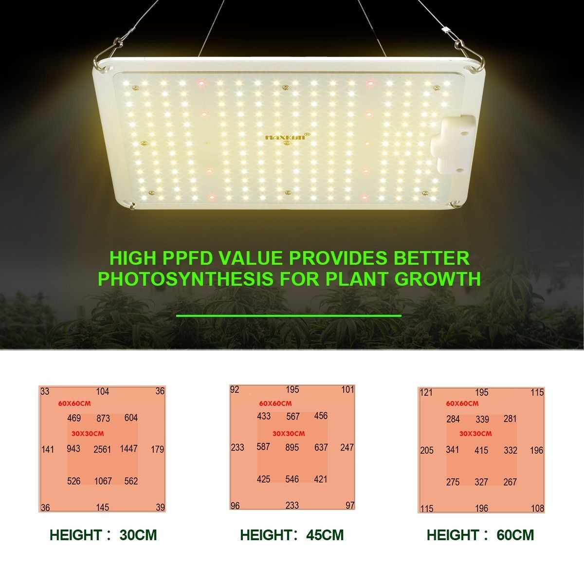https://img.bestdeals.co.nz/products_pictures/331/33108_279975_F.jpg