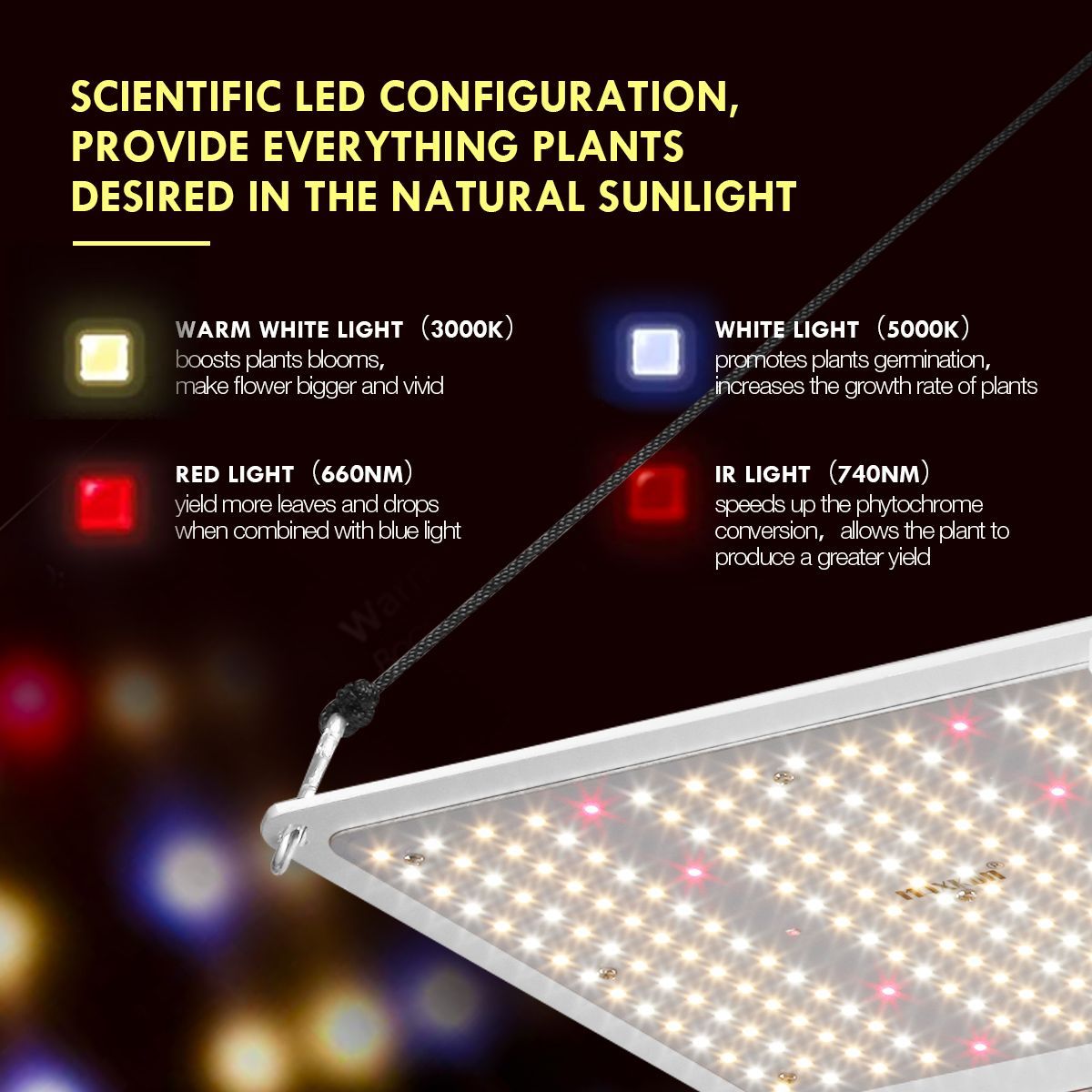 https://img.bestdeals.co.nz/products_pictures/331/33109_334434_F.jpg