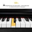 Melodic 88-Keys Digital Piano Full Size Hammer-Action Keys with Keyboard Cover