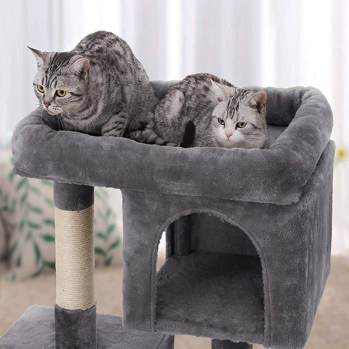 https://img.bestdeals.co.nz/products_pictures/332/33247_281289_F.jpg