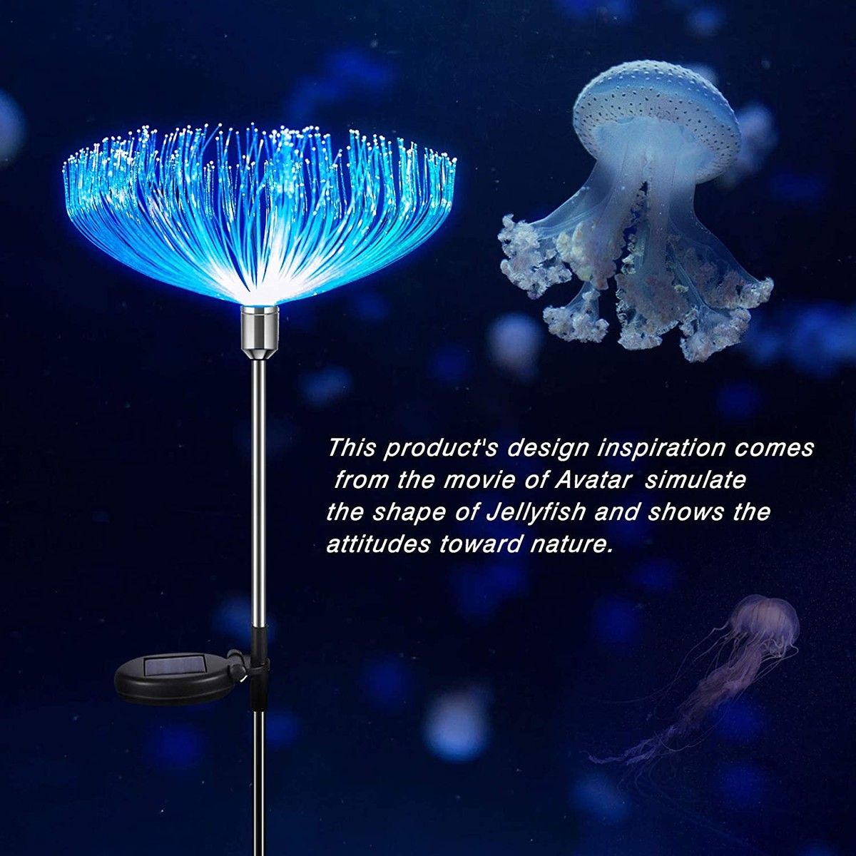 https://img.bestdeals.co.nz/products_pictures/333/33307_281739_F.jpg