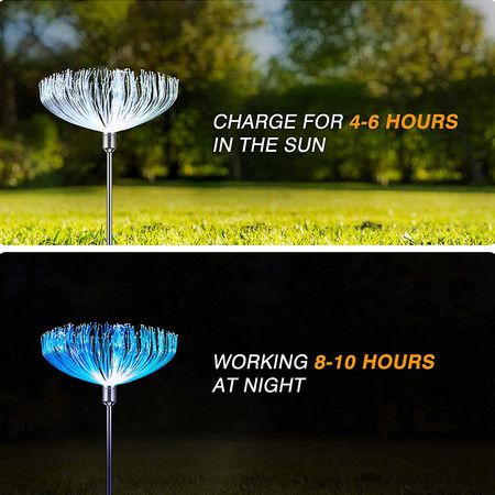 https://img.bestdeals.co.nz/products_pictures/333/33307_281743_F.jpg