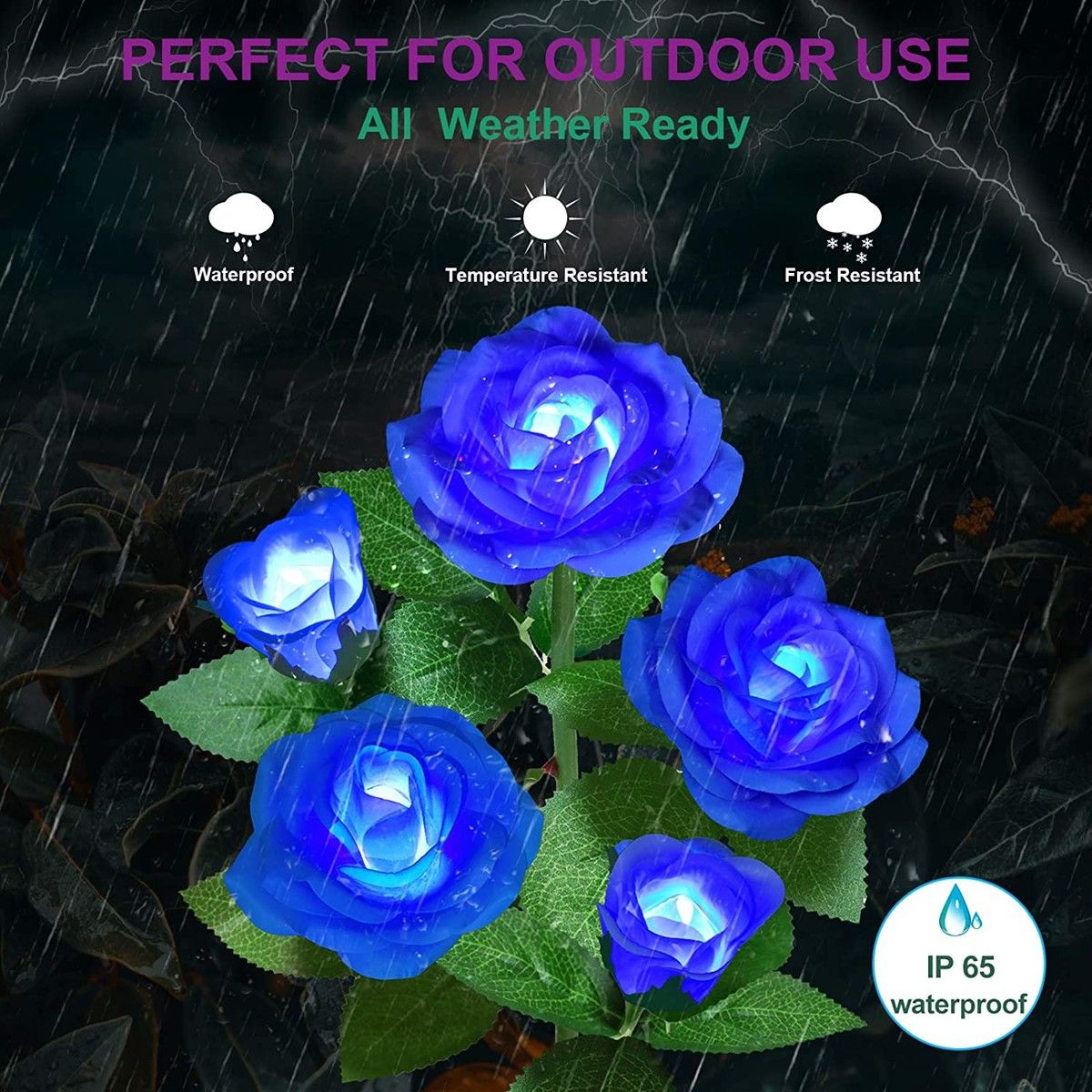 https://img.bestdeals.co.nz/products_pictures/333/33309_281795_F.jpg