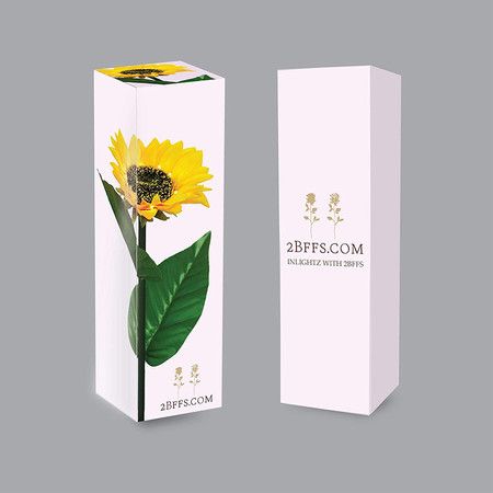 https://img.bestdeals.co.nz/products_pictures/333/33311_281803_F.jpg