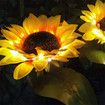 Solar LED Outdoor Lights | Sunflower Garden Lighting for Courtyard, Front yard(2 Pack)