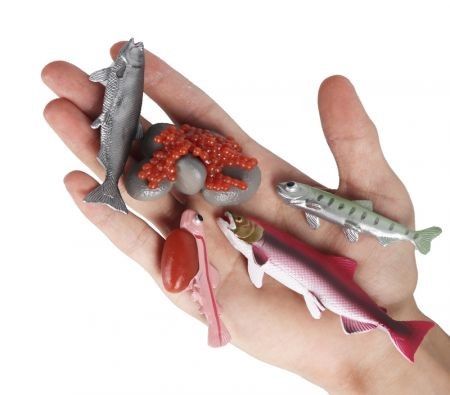 https://img.bestdeals.co.nz/products_pictures/333/33387_282545_F.jpg