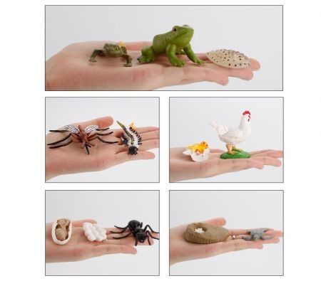 https://img.bestdeals.co.nz/products_pictures/333/33387_282548_F.jpg