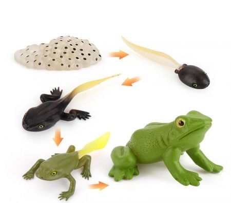https://img.bestdeals.co.nz/products_pictures/333/33387_282551_F.jpg