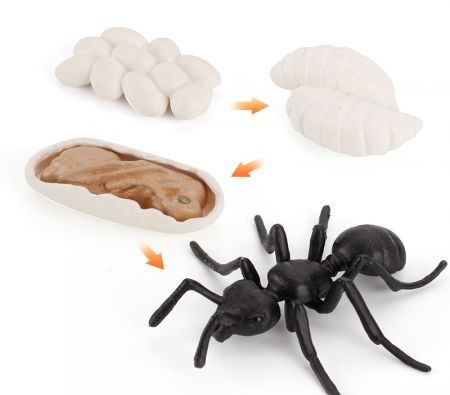 https://img.bestdeals.co.nz/products_pictures/333/33387_282552_F.jpg