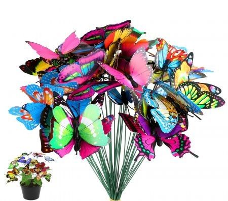 https://img.bestdeals.co.nz/products_pictures/335/33526_284075_F.jpg