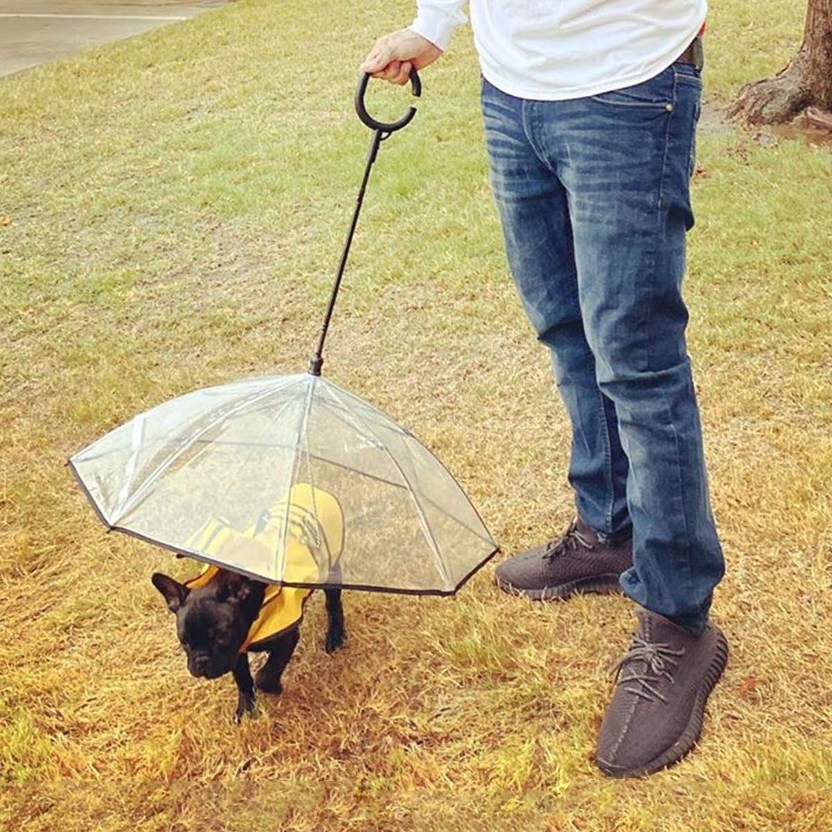 Pet Umbrella Leash Rainproof Snowproof Walking Dog Leash Umbrella for