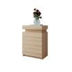 Oak Modern Nightstand Bedside Tables 3 Drawers High Gloss Front