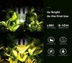 12Pack Solar Lights Outdoor Decorative, 8H Waterproof Auto Solar Garden Lights, Anti-Deform Stainless Steel Pathway Light Solar Powered, for Garden, Walkway