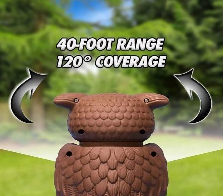 https://img.bestdeals.co.nz/products_pictures/337/33774_286910_F.jpg
