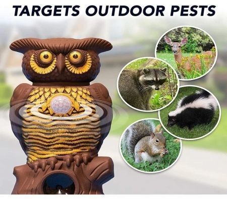https://img.bestdeals.co.nz/products_pictures/337/33774_286911_F.jpg