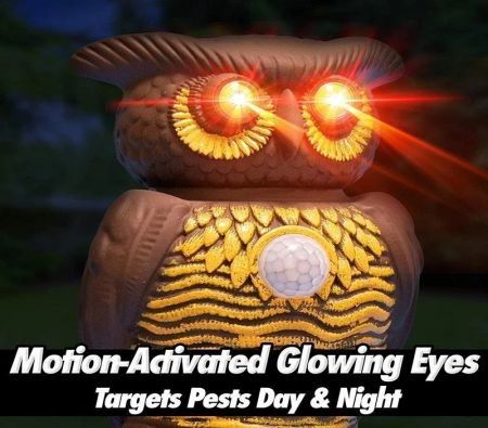 https://img.bestdeals.co.nz/products_pictures/337/33774_286913_F.jpg