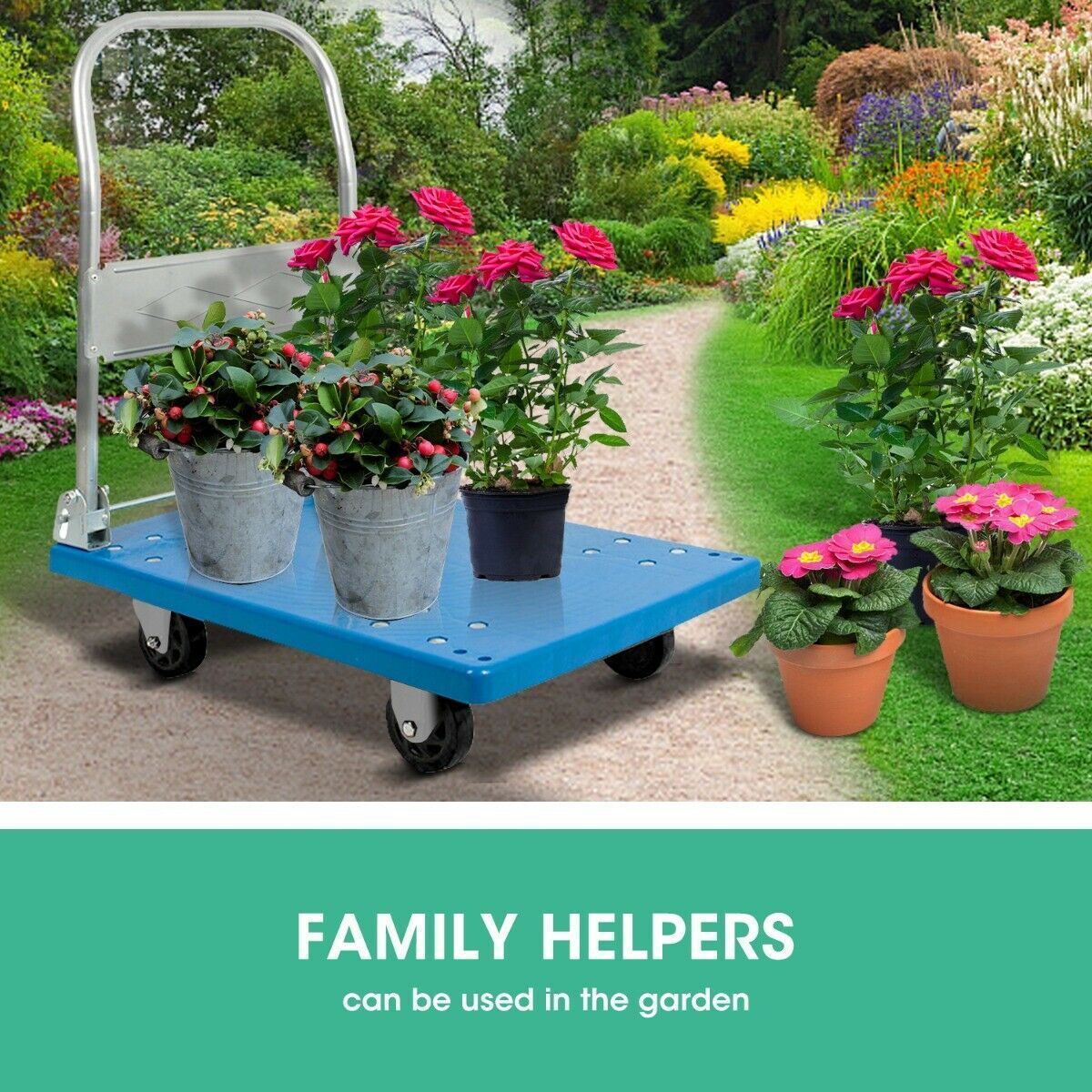 https://img.bestdeals.co.nz/products_pictures/341/34184_289343_F.jpg