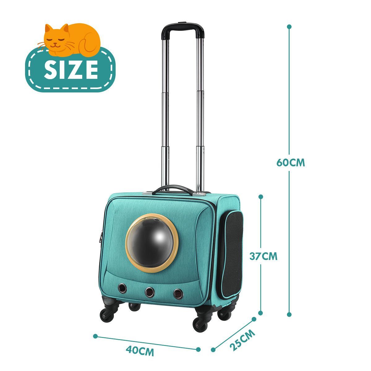 https://img.bestdeals.co.nz/products_pictures/342/34242_289730_F.jpg