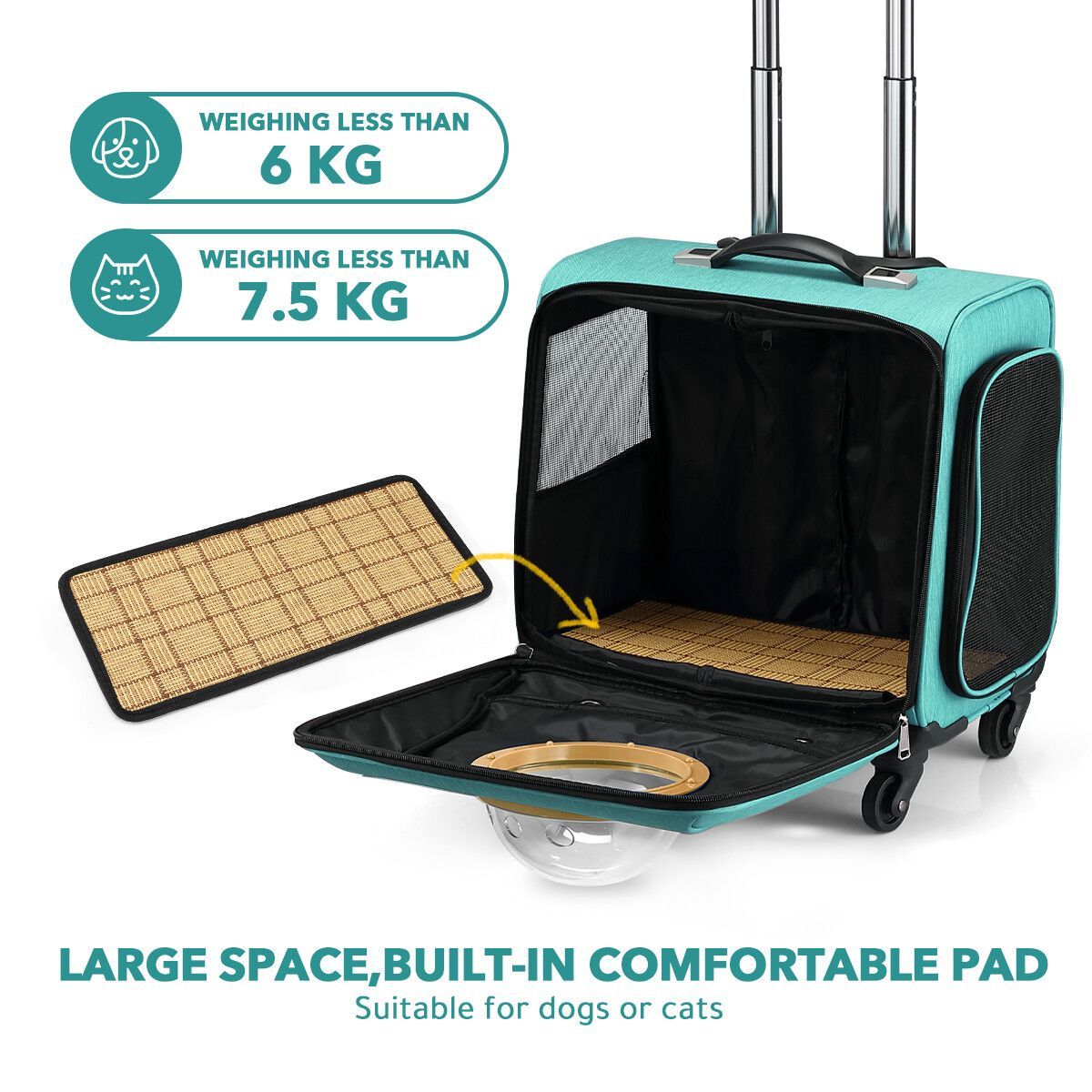 https://img.bestdeals.co.nz/products_pictures/342/34242_289732_F.jpg