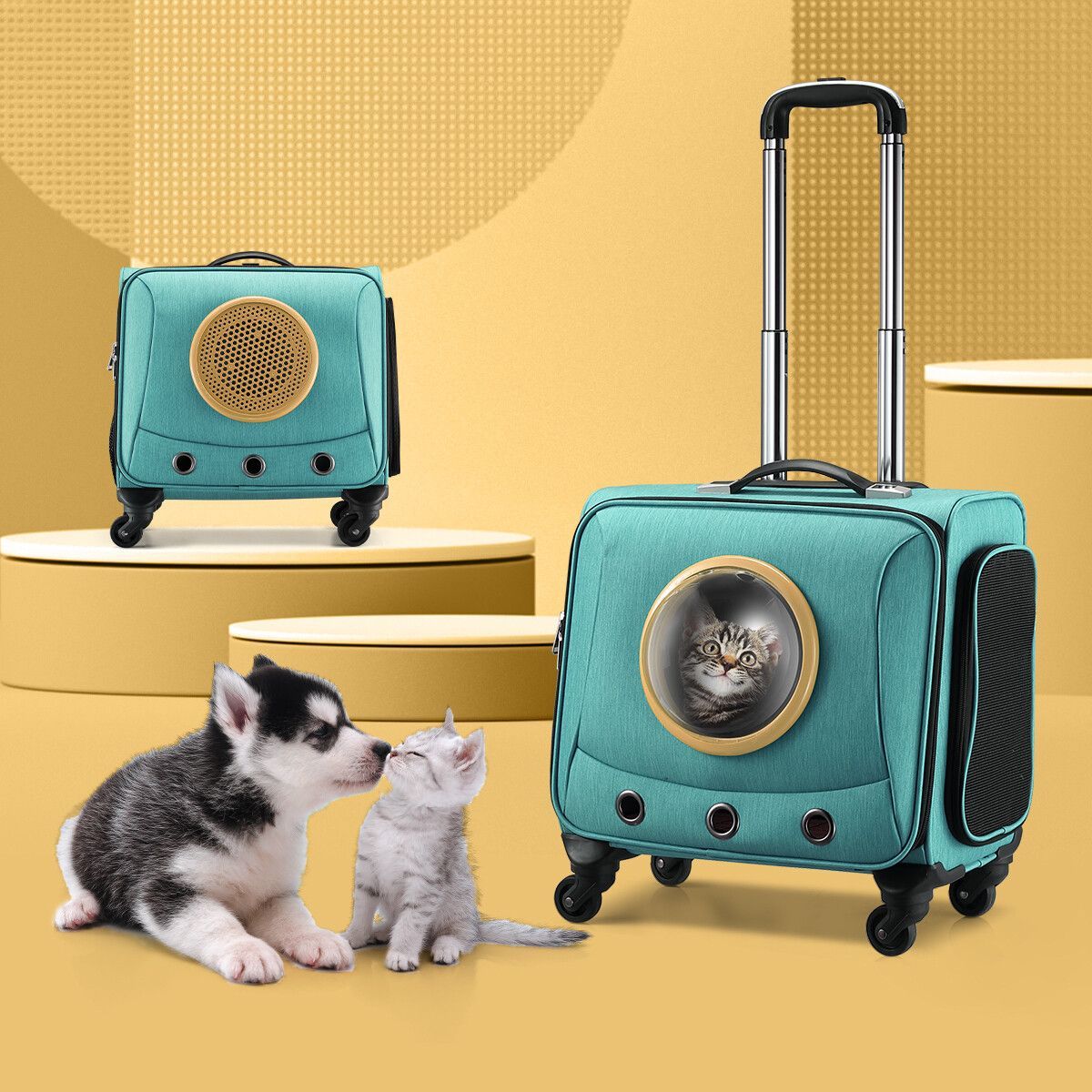 https://img.bestdeals.co.nz/products_pictures/342/34242_289734_F.jpg