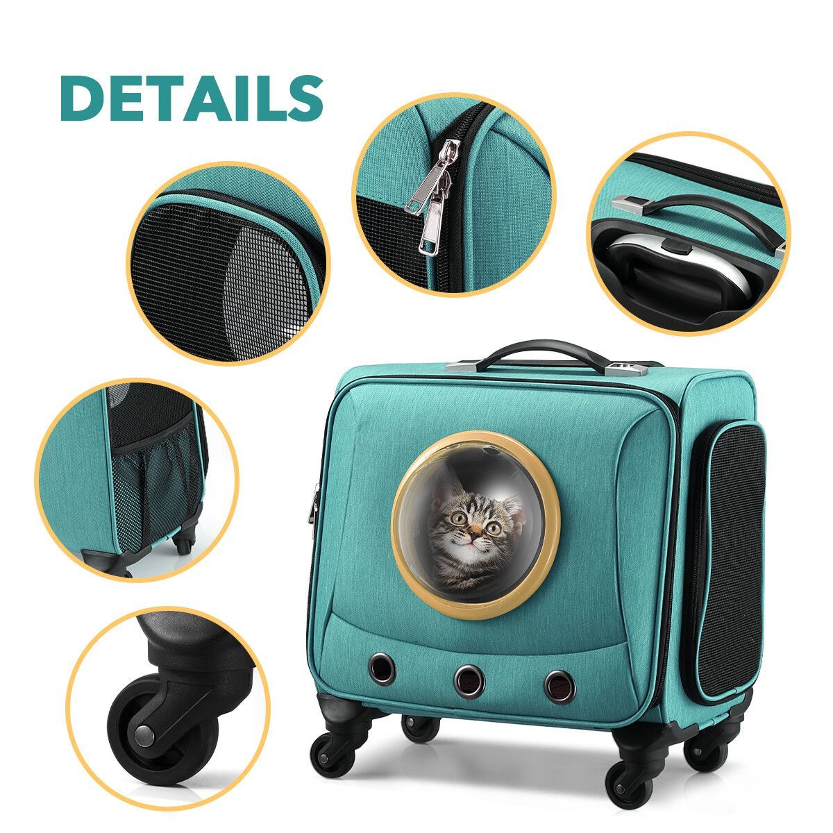 https://img.bestdeals.co.nz/products_pictures/342/34242_289736_F.jpg