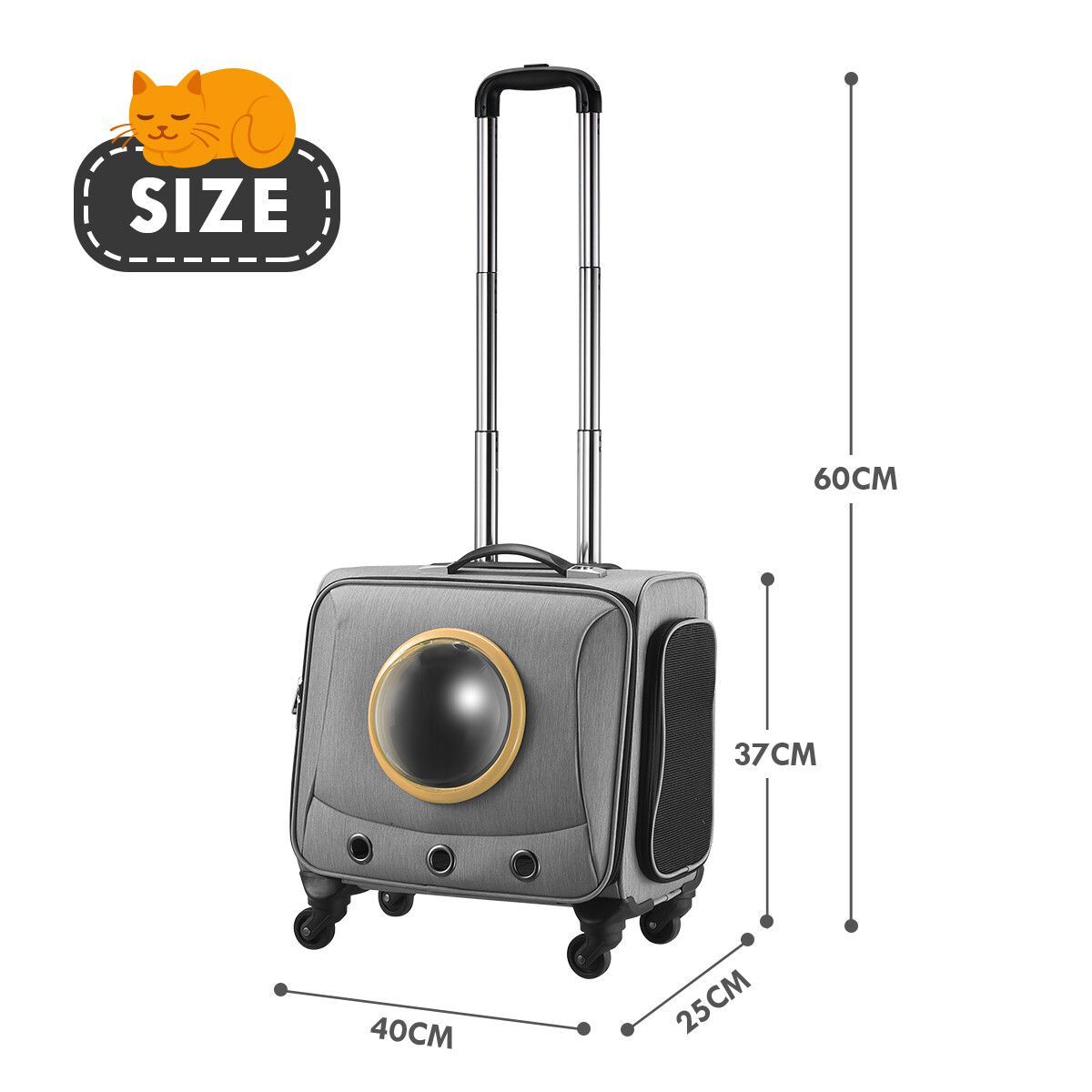 https://img.bestdeals.co.nz/products_pictures/342/34243_289741_F.jpg