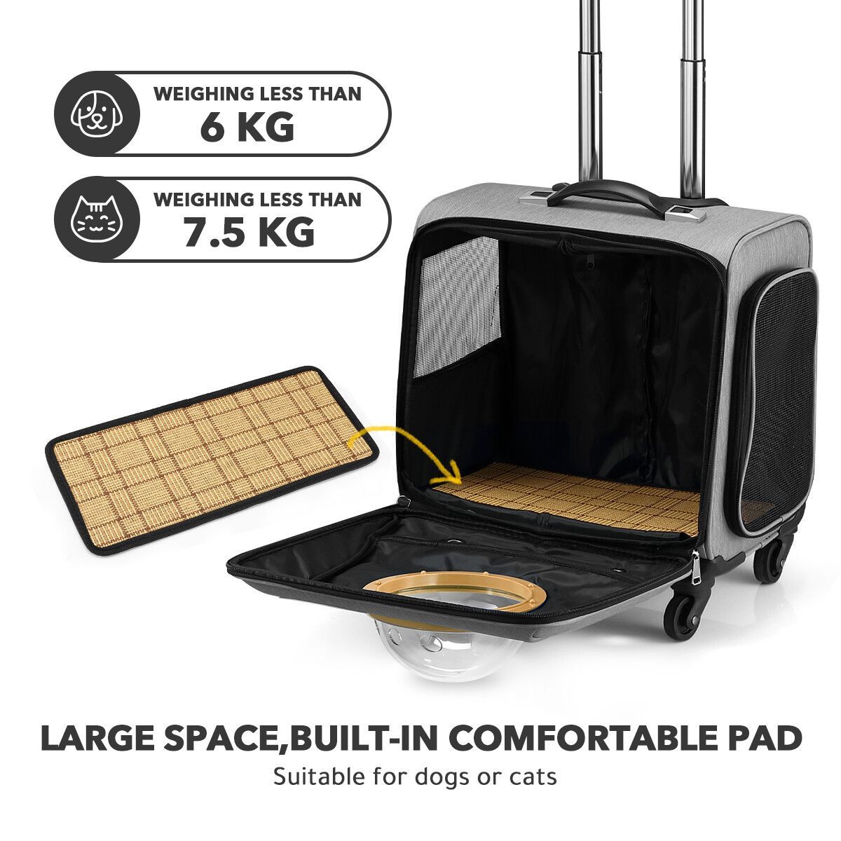 https://img.bestdeals.co.nz/products_pictures/342/34243_289743_F.jpg