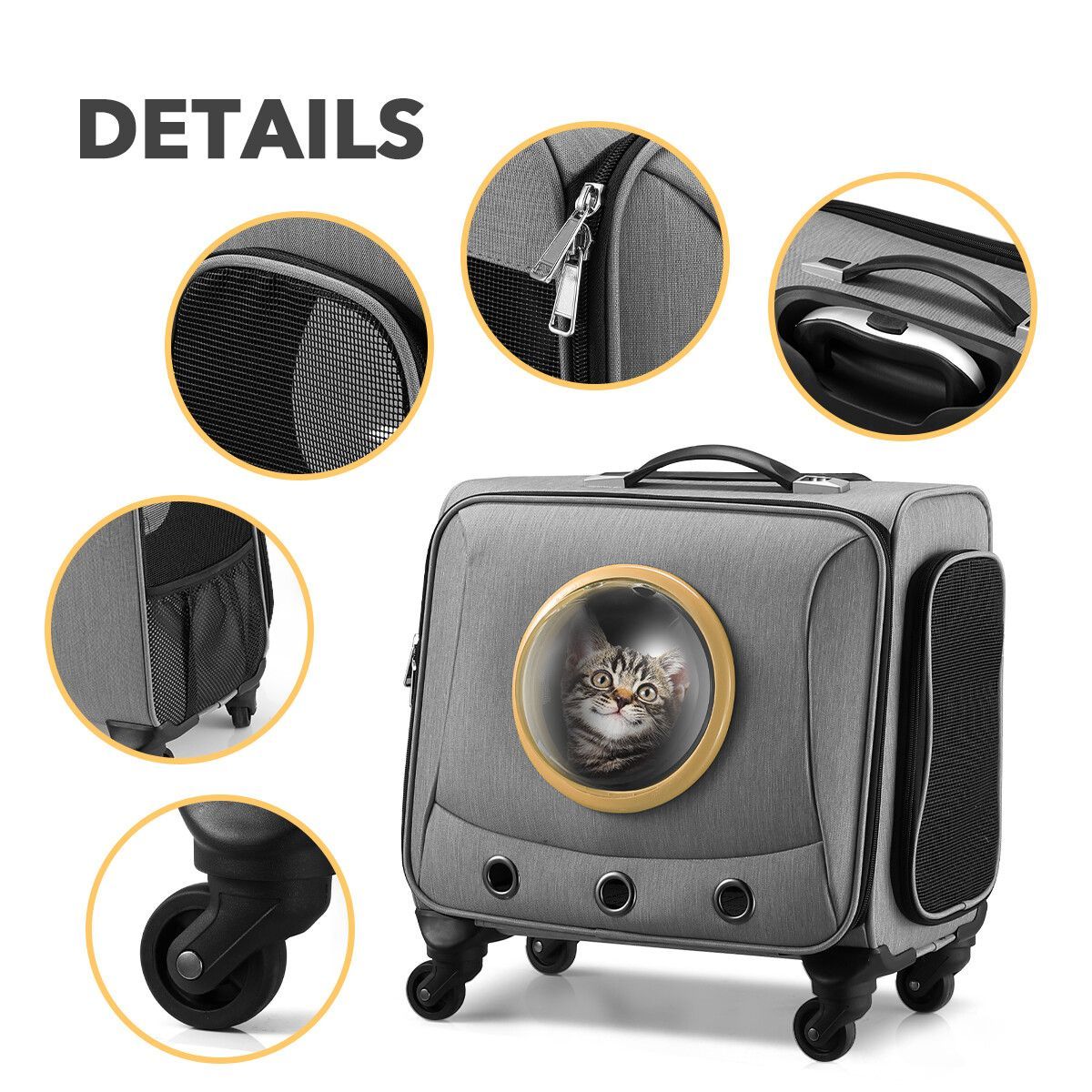 https://img.bestdeals.co.nz/products_pictures/342/34243_289747_F.jpg