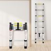 2M Telescopic Aluminium Multipurpose Ladder Extension Alloy Extendable Step