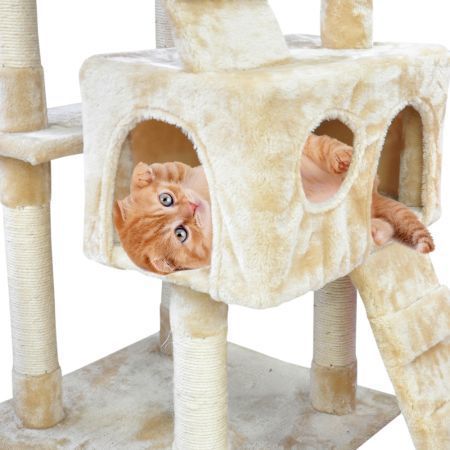 https://img.bestdeals.co.nz/products_pictures/343/34330_290370_F.jpg