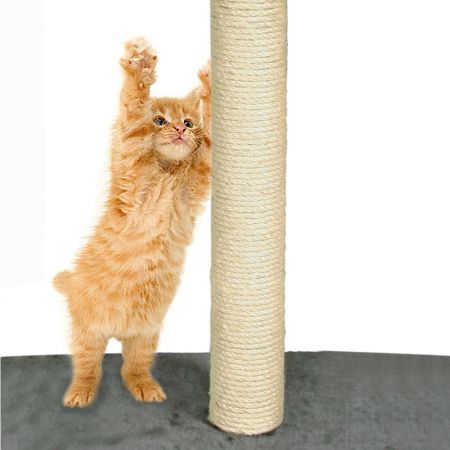 https://img.bestdeals.co.nz/products_pictures/343/34330_290372_F.jpg