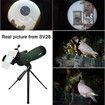Spotting Scope Tripod Hunting Birding 25-75x70 Angled Waterproof Range Shooting Phone Adapter Target Stargazing Wildlife Viewing Nature Observation Monocular